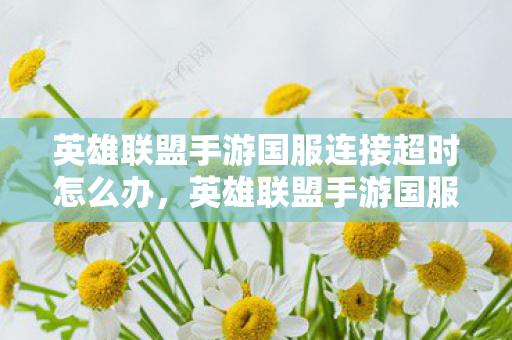 英雄联盟手游国服连接超时怎么办图片