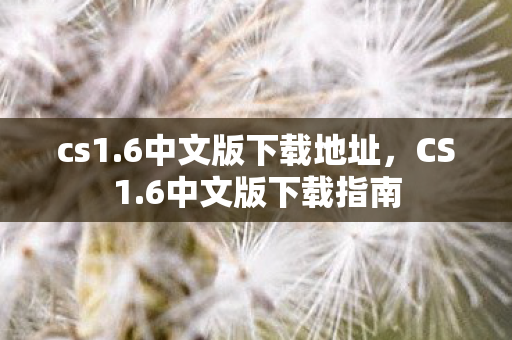 cs1.6中文版下载地址，CS1.6中文版下载指南
