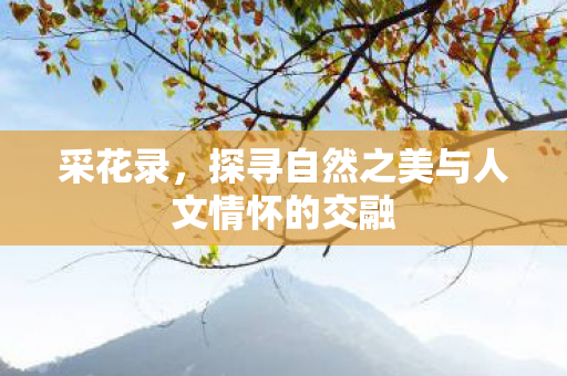 探寻自然之美与人文情怀的交融图片