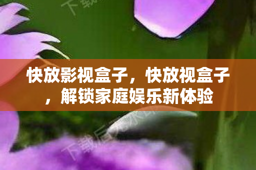 解锁家庭娱乐新体验图片