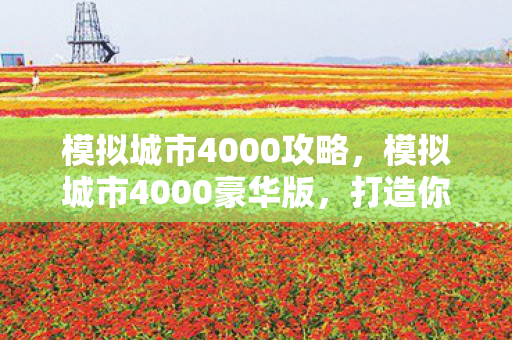 模拟城市4000豪华版图片