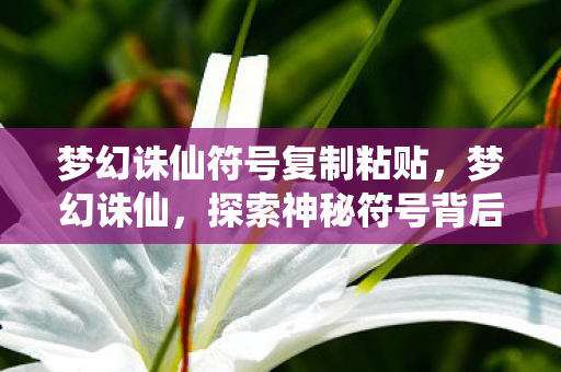 探索神秘符号背后的故事图片