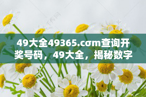 揭秘数字背后的生活智慧图片