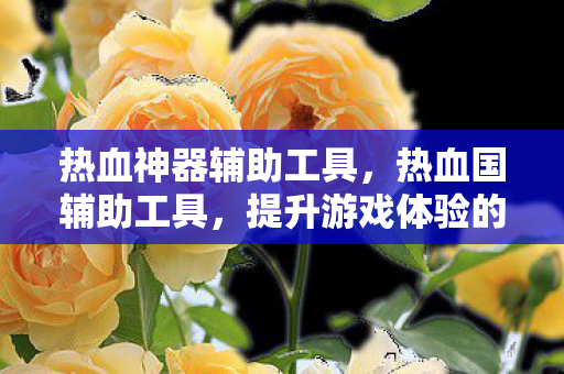 提升游戏体验的神奇助手图片