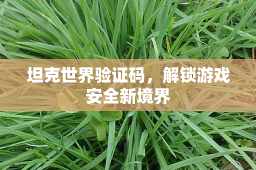解锁游戏安全新境界图片