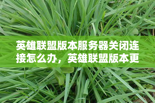 英雄联盟版本服务器关闭连接怎么办图片