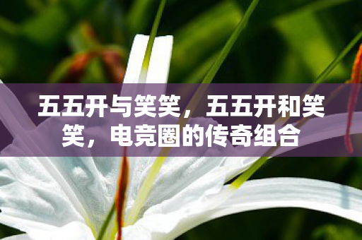 电竞圈的传奇组合图片