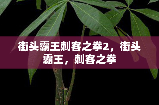 街头霸王刺客之拳2图片