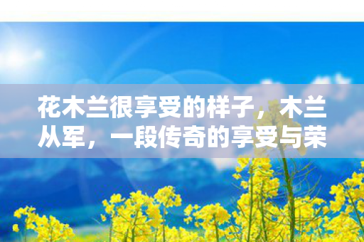 一段传奇的享受与荣耀图片