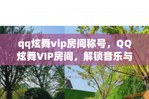 qq炫舞vip房间称号图片