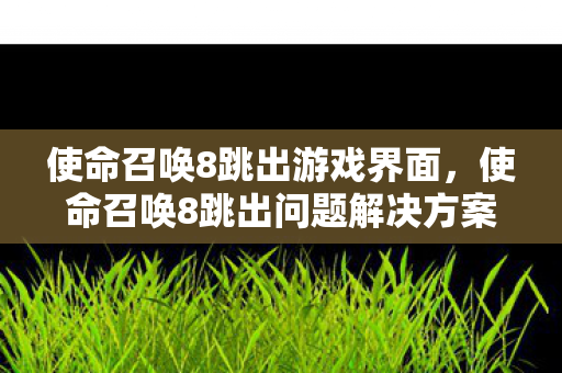 使命召唤8跳出问题解决方案图片