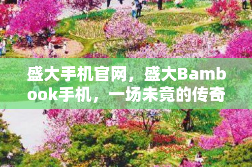 盛大Bambook手机图片