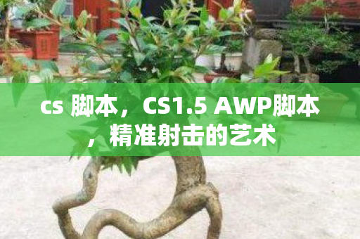 cs 脚本，CS1.5 AWP脚本，精准射击的艺术