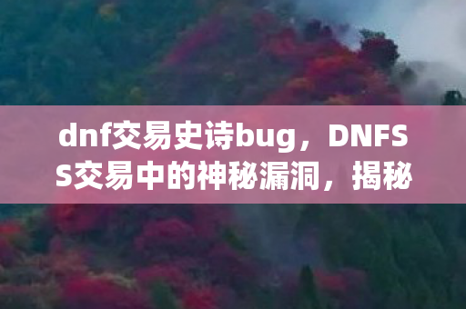 DNFSS交易中的神秘漏洞图片