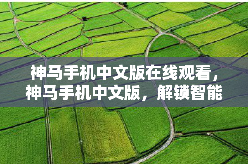 神马手机中文版在线观看图片