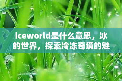 iceworld是什么意思，冰的世界，探索冷冻奇境的魅力