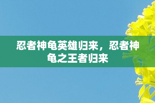 忍者神龟之王者归来图片