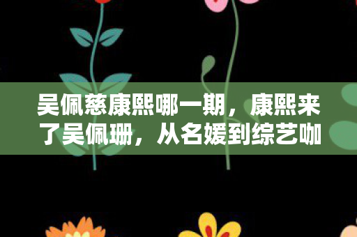 从名媛到综艺咖的华丽转身图片