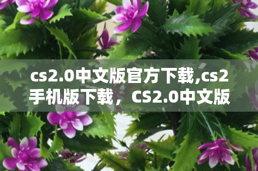 cs2.0中文版官方下载,cs2手机版下载，CS2.0中文版官方下载及详细解读
