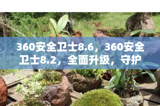 360安全卫士8图片