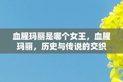 血腥玛丽是哪个女王图片