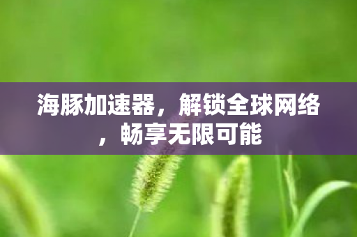 解锁全球网络图片