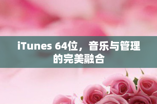 iTunes 64位图片