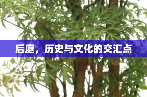 历史与文化的交汇点图片