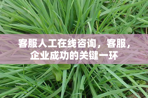 企业成功的关键一环图片