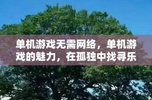 单机游戏无需网络图片