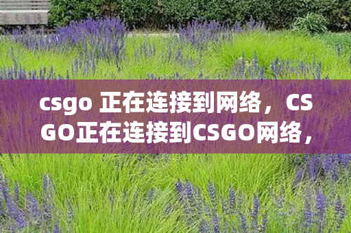csgo 正在连接到网络，CSGO正在连接到CSGO网络，深入解析与解决方案