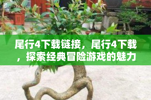 探索经典冒险游戏的魅力图片