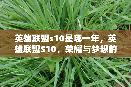 英雄联盟s10是哪一年图片