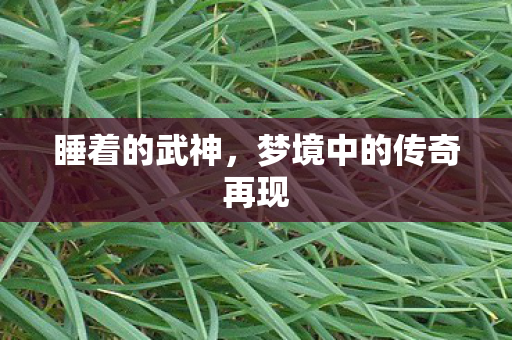 梦境中的传奇再现图片