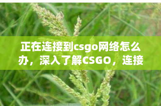 正在连接到csgo网络怎么办，深入了解CSGO，连接网络的过程与体验