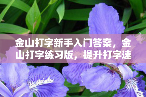 金山打字新手入门答案图片