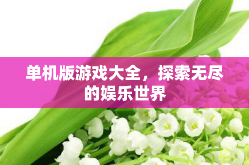 单机版游戏大全，探索无尽的娱乐世界