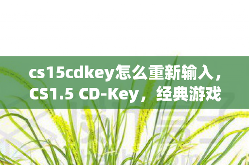 cs15cdkey怎么重新输入，CS1.5 CD-Key，经典游戏的回忆与探索