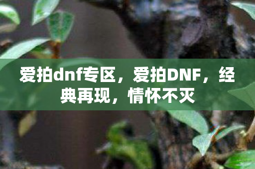 爱拍dnf专区图片