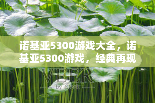 诺基亚5300游戏大全图片