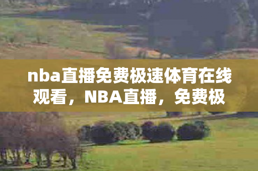 nba直播免费极速体育在线观看图片