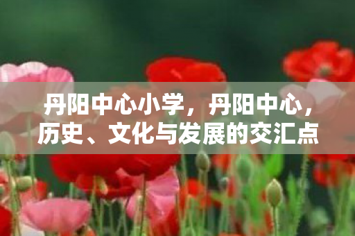 文化与发展的交汇点图片