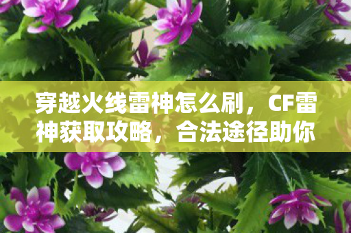 合法途径助你成为游戏高手图片