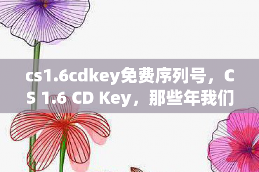 cs1.6cdkey免费序列号，CS 1.6 CD Key，那些年我们追逐的游戏秘籍