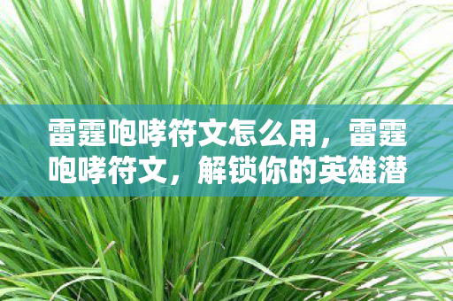 雷霆咆哮符文怎么用图片