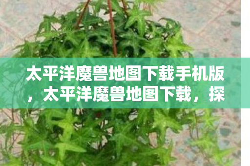 太平洋魔兽地图下载手机版图片