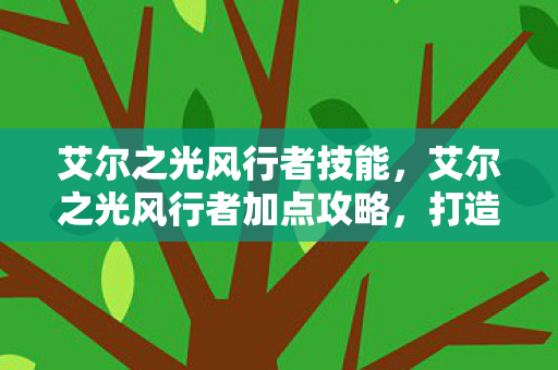 艾尔之光风行者加点攻略图片