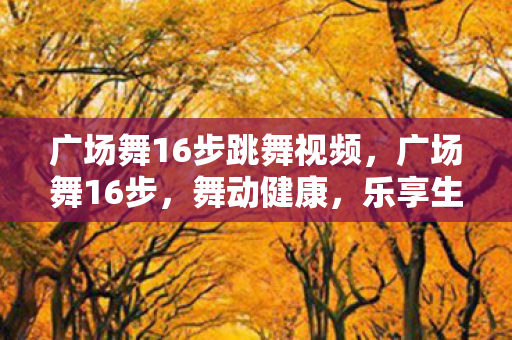 广场舞16步跳舞视频图片