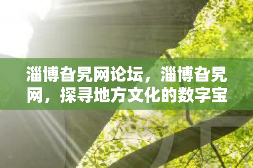 探寻地方文化的数字宝藏图片