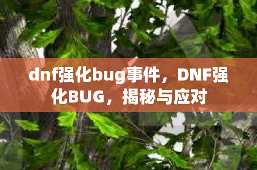 dnf强化bug事件图片